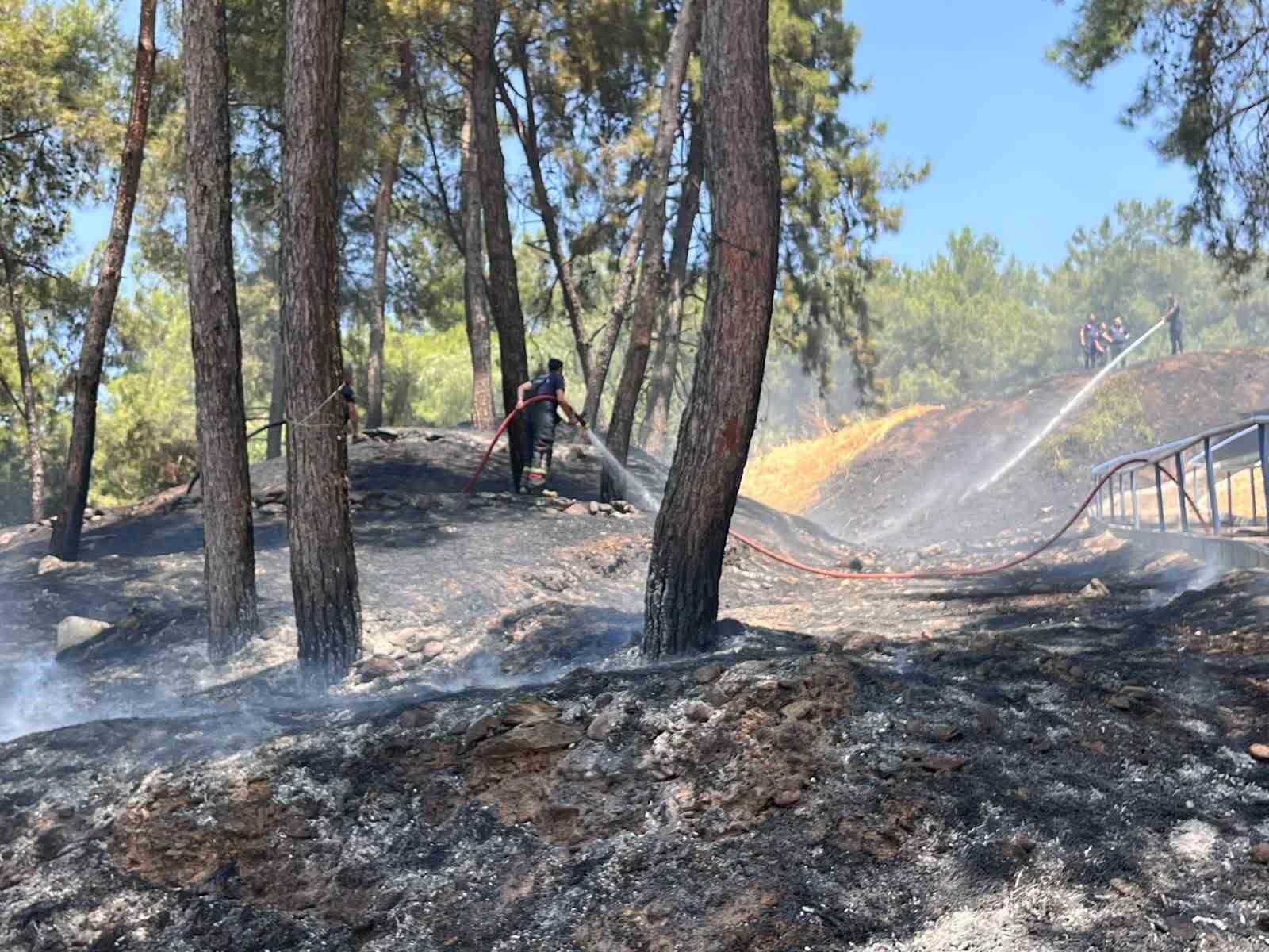 MESİRE ALANINDAKİ YANGIN KISA SÜREDE SÖNDÜRÜLDÜ