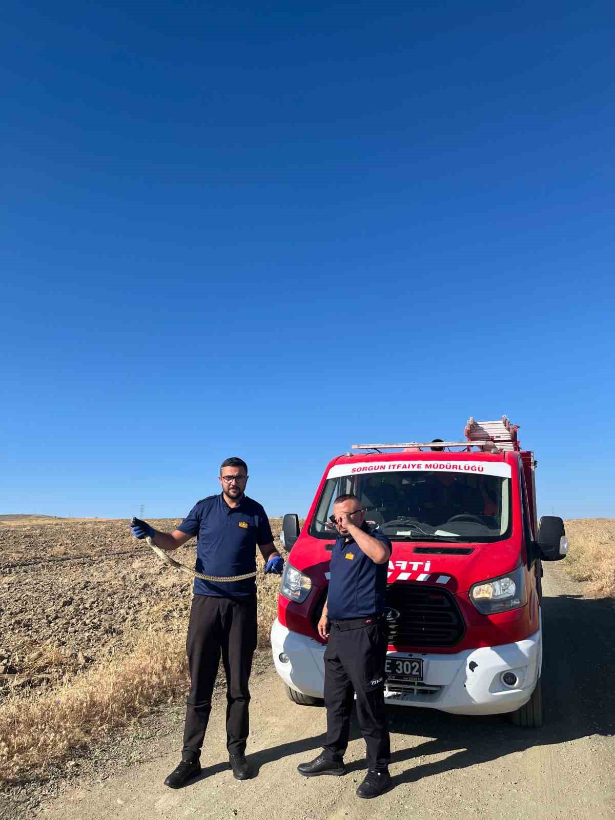 KAYMAKAMLIK BAHÇESİNDE BULUNAN YILAN DOĞAYA BIRAKILDI