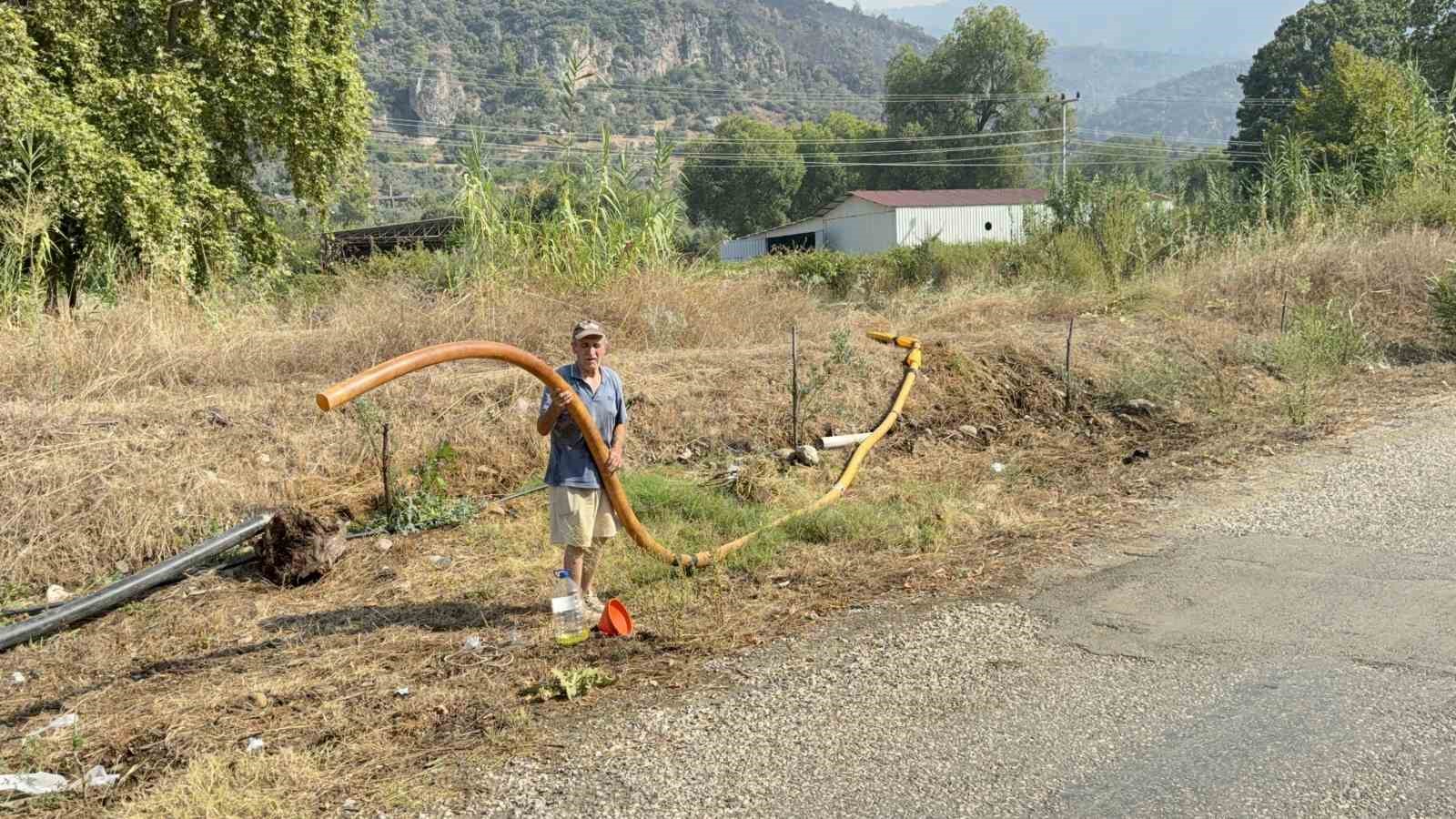 ZEYTİNLİKLERİ KÜL OLDU, GÖZYAŞINI İÇİNE AKITIP YANGINA SU TAŞIDI