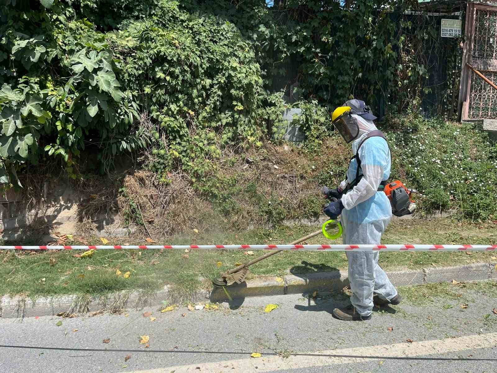 İBB’NİN SORUMLULUĞUNDAKİ YOLLARDA OTLAR METRELERCE UZADI, TEMİZLİĞİ BEYKOZ BELEDİYESİ YAPTI