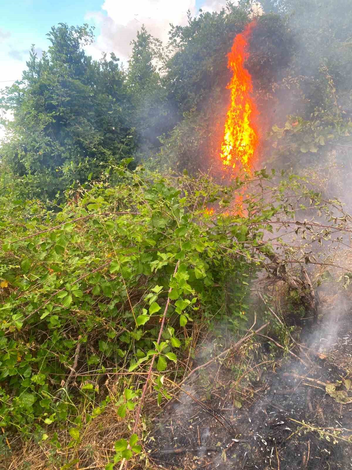 DÜZCE’DE FINDIKLIKTA KORKUTAN YANGIN