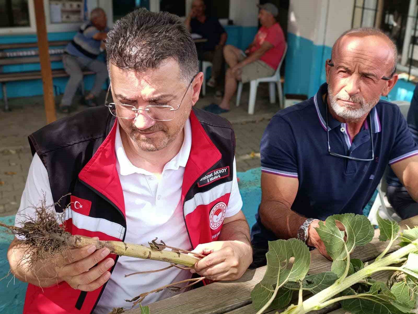 TEKİRDAĞ’DA DOLUNUN VURDUĞU KÖYLERDE HASAR TESPİT ÇALIŞMALARI SÜRÜYOR