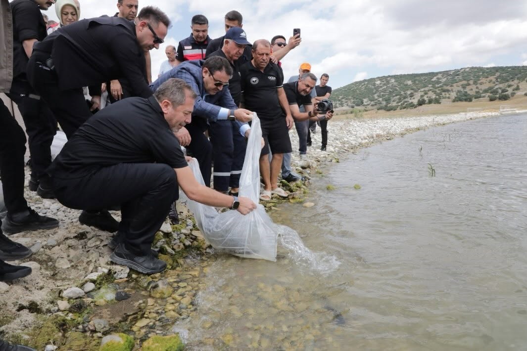 KÜTAHYA’DA PORSUK BARAJI GÖLETİ’NE 107 BİN 500 BALIK YAVRUSU BIRAKILDI