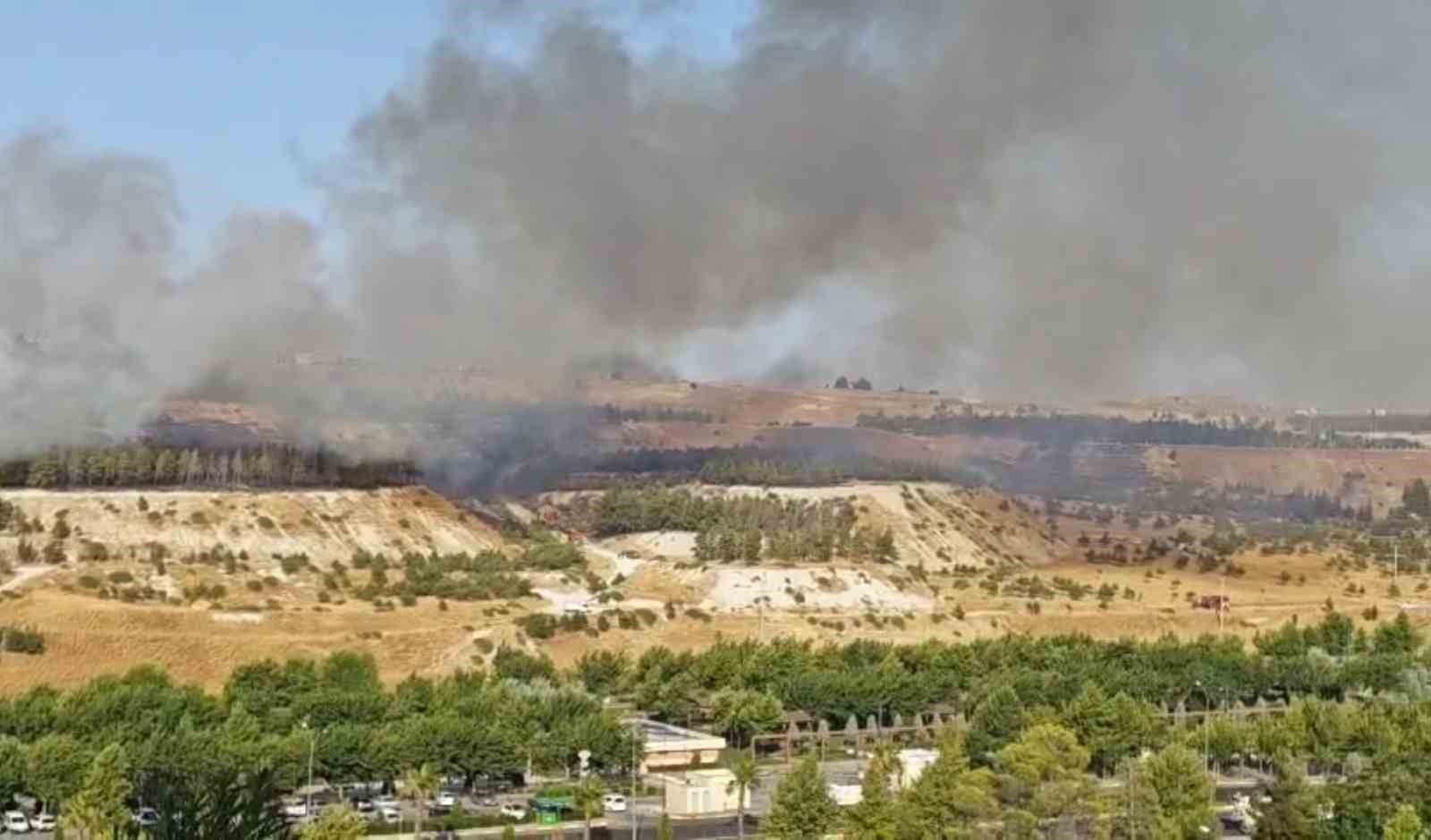 ŞANLIURFA’DA ORMANLIK ALANDA KORKUTAN YANGIN