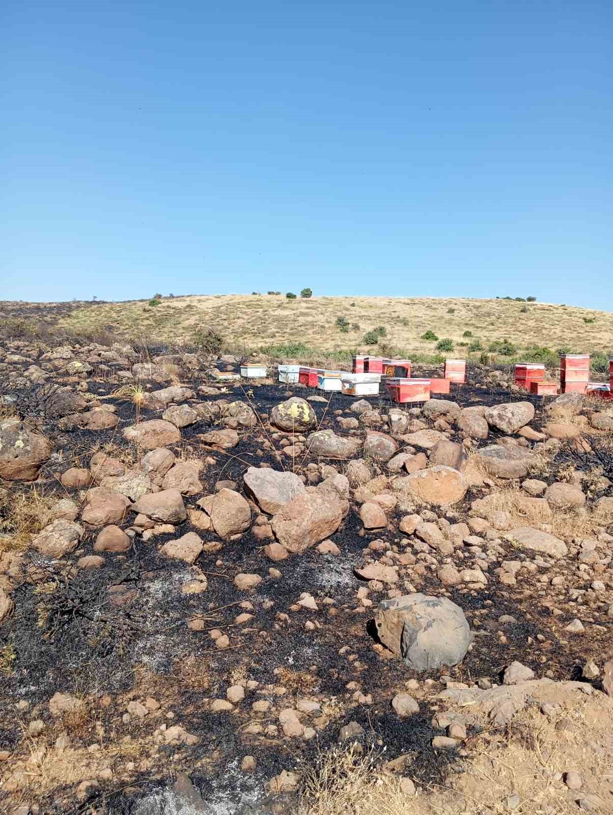 ELAZIĞ’DA ARAZİ YANGINI: ARI KOVANLARI ZARAR GÖRDÜ