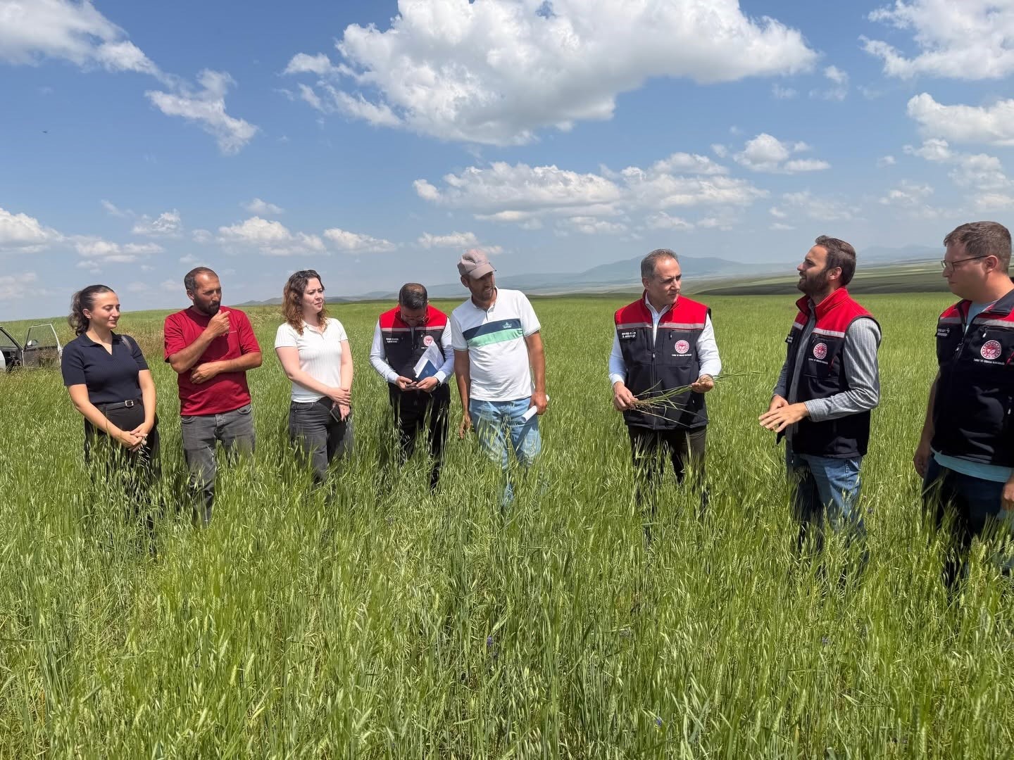 KARS’IN ATA TOHUMU KAVILCA GELECEĞE TAŞINIYOR