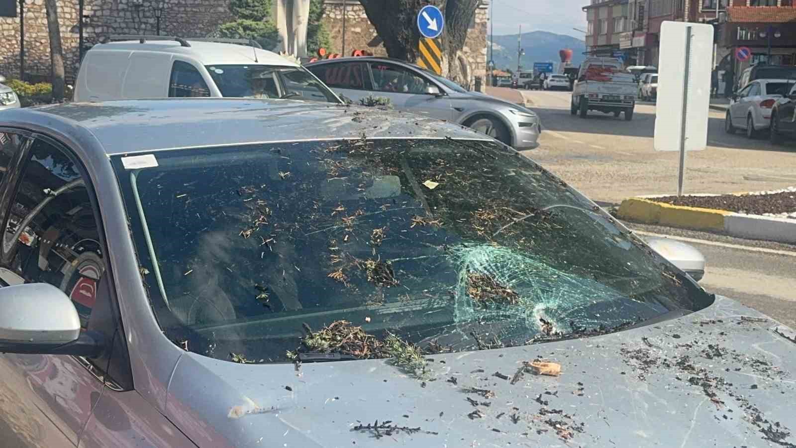 FIRTINADA KÖKÜNDEN SÖKÜLEN AĞAÇ OTOMOBİLİN ÜZERİNE DEVRİLDİ