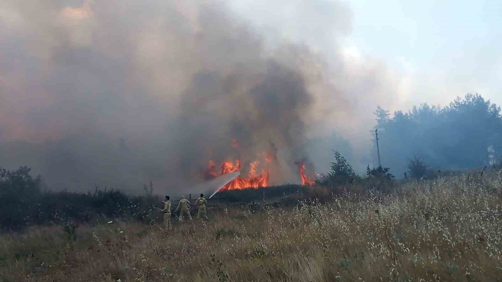 MUĞLA’DAKİ ORMAN YANGININDA 1 KİŞİ GÖZALTINA ALINDI