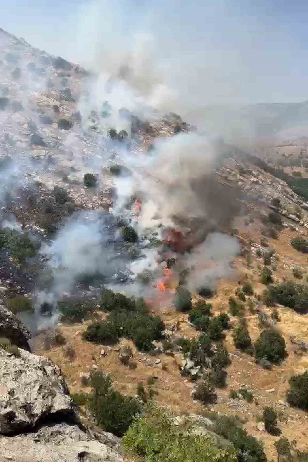 DİYARBAKIR’DA ÇIKAN ÖRTÜ VE ORMAN YANGINLARI SÖNDÜRÜLDÜ