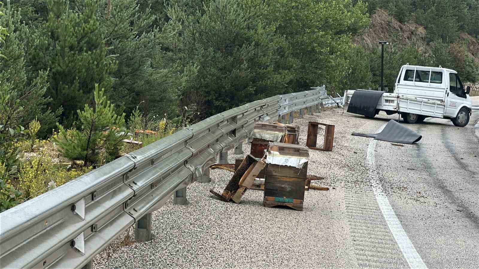 KASTAMONU’DA KAMYONET BARİYERLERE ÇARPTI: ETRAFA SAÇILAN KOVANDAKİ ARILAR TELEF OLDU