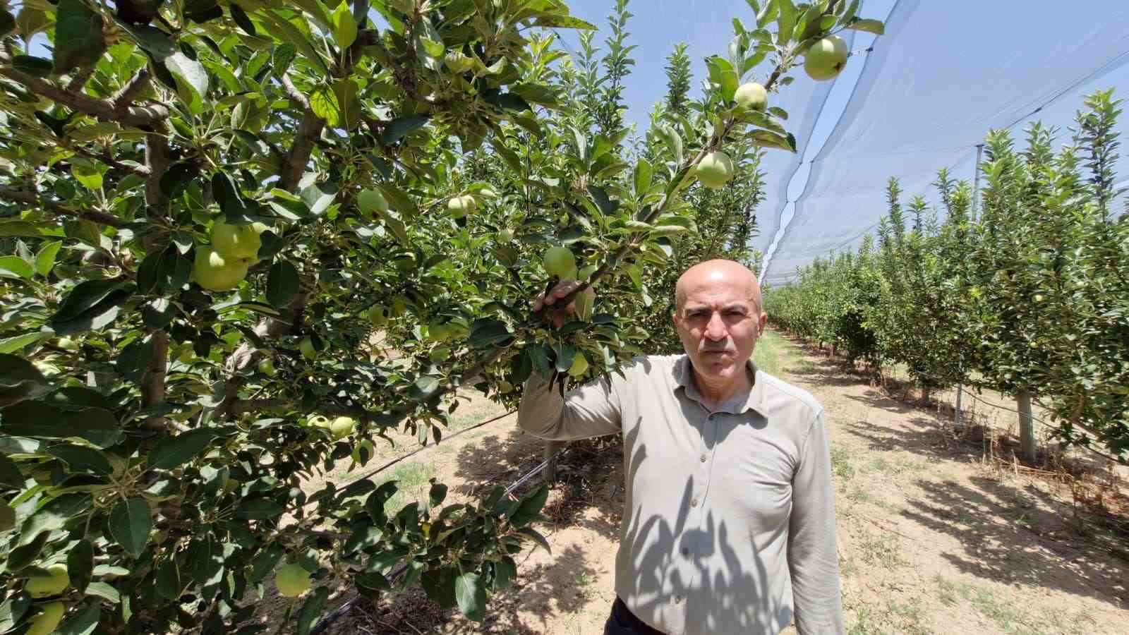 REKOR ÜRETİME DOLANDIRICI UYARISI