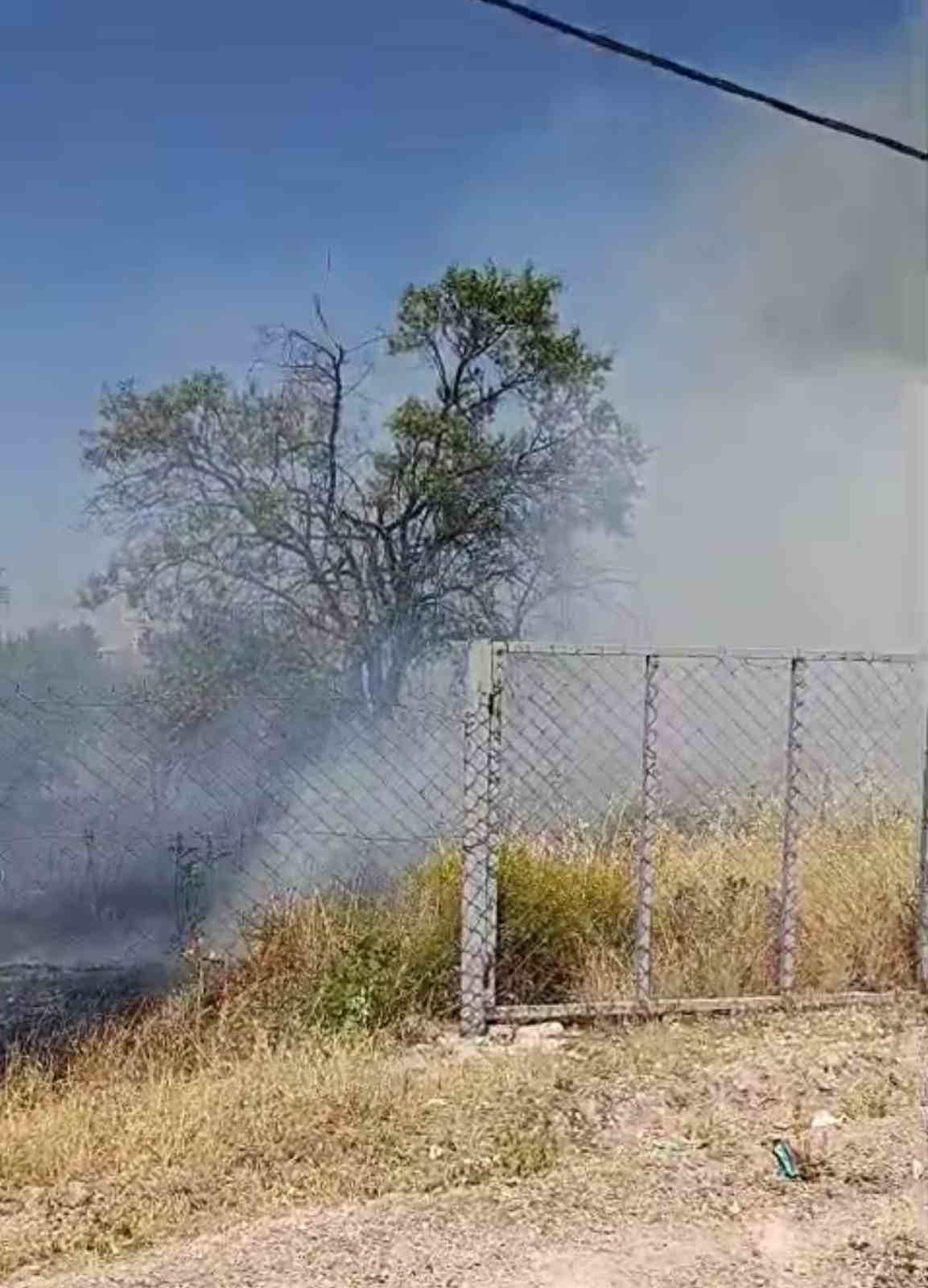 SİİRT’TE EVİN BAHÇESİNDE ÇIKAN YANGINDA MEYVE AĞAÇLARI KÜL OLDU