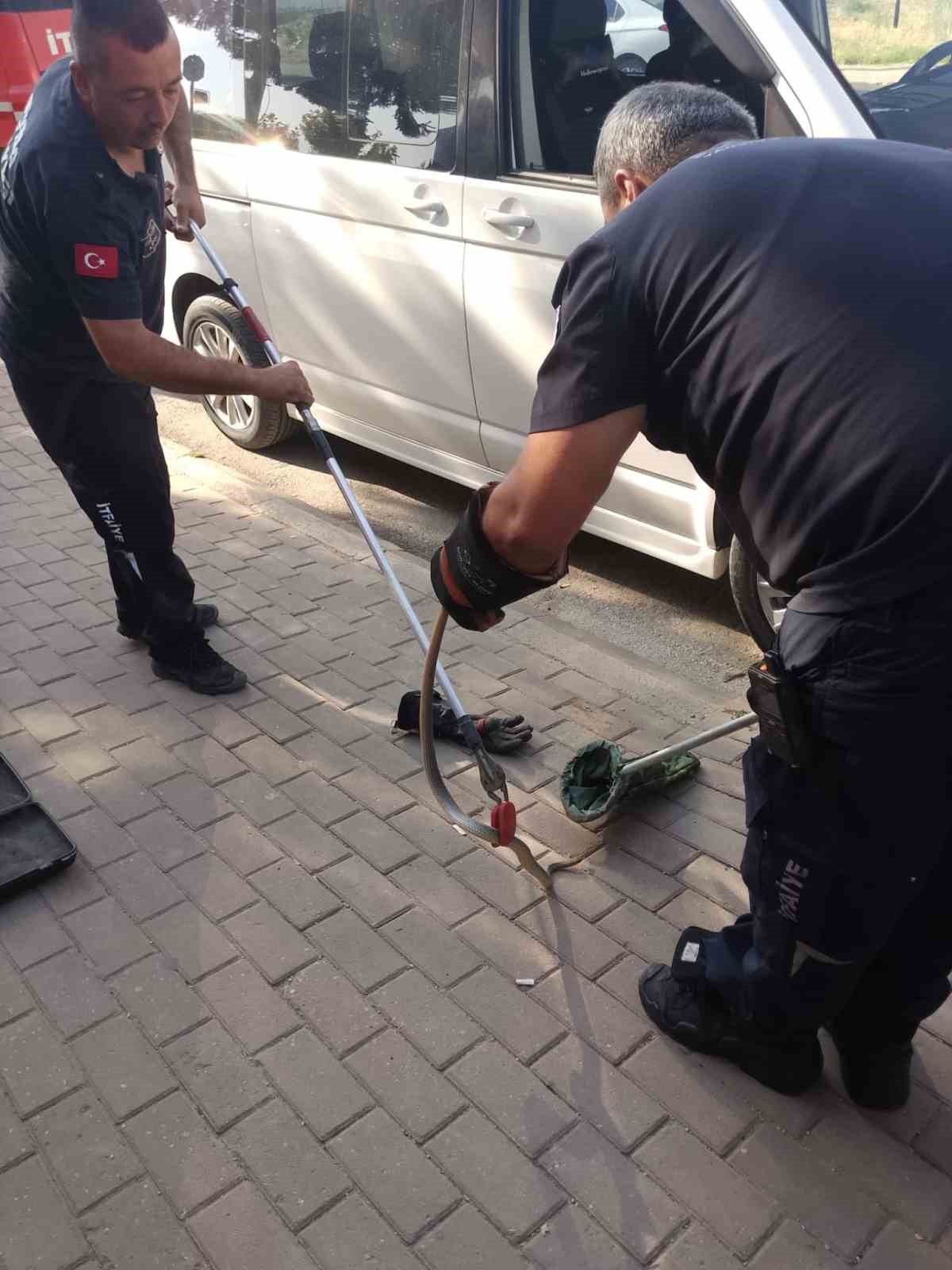 MİNİBÜSÜN MOTORUNA GİREN YILAN İTFAİYE EKİPLERİNİ HAREKETE GEÇİRDİ