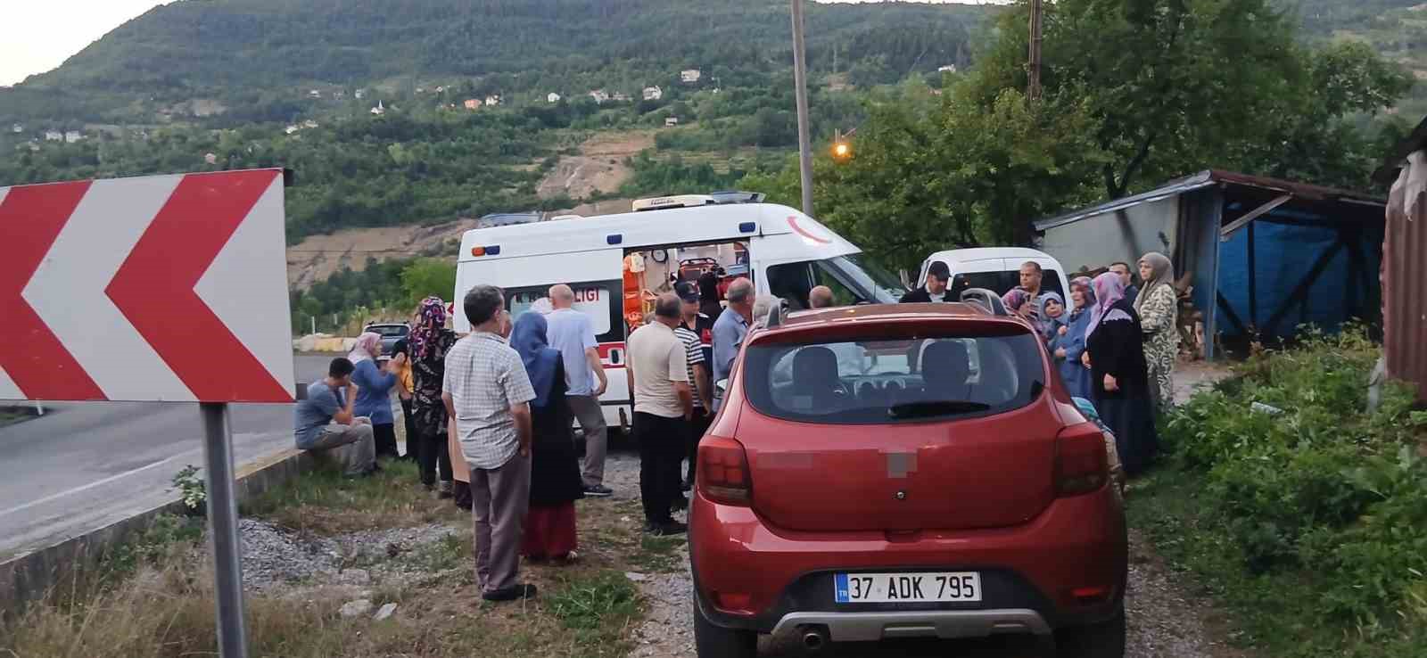 FRENİ TUTMAYAN HAFİF TİCARİ ARAÇ, ANNE İLE İKİ ÇOCUĞUNA ÇARPTI