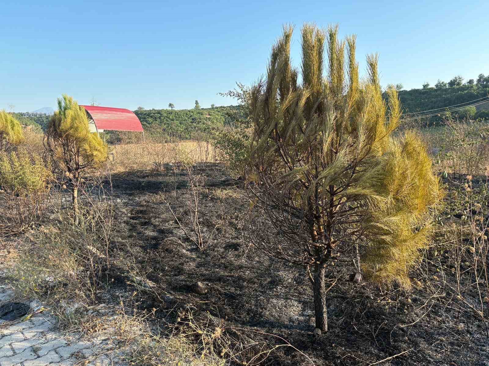 OSMANİYE’DE MESİRE ALANINDAN ÇIKAN YANGIN SÖNDÜRÜLDÜ