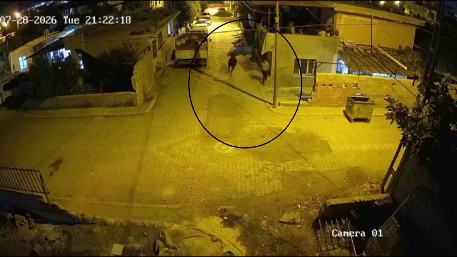 FİRARİ ANGUS MAHALLELİYE KORKU DOLU ANLAR YAŞATTI