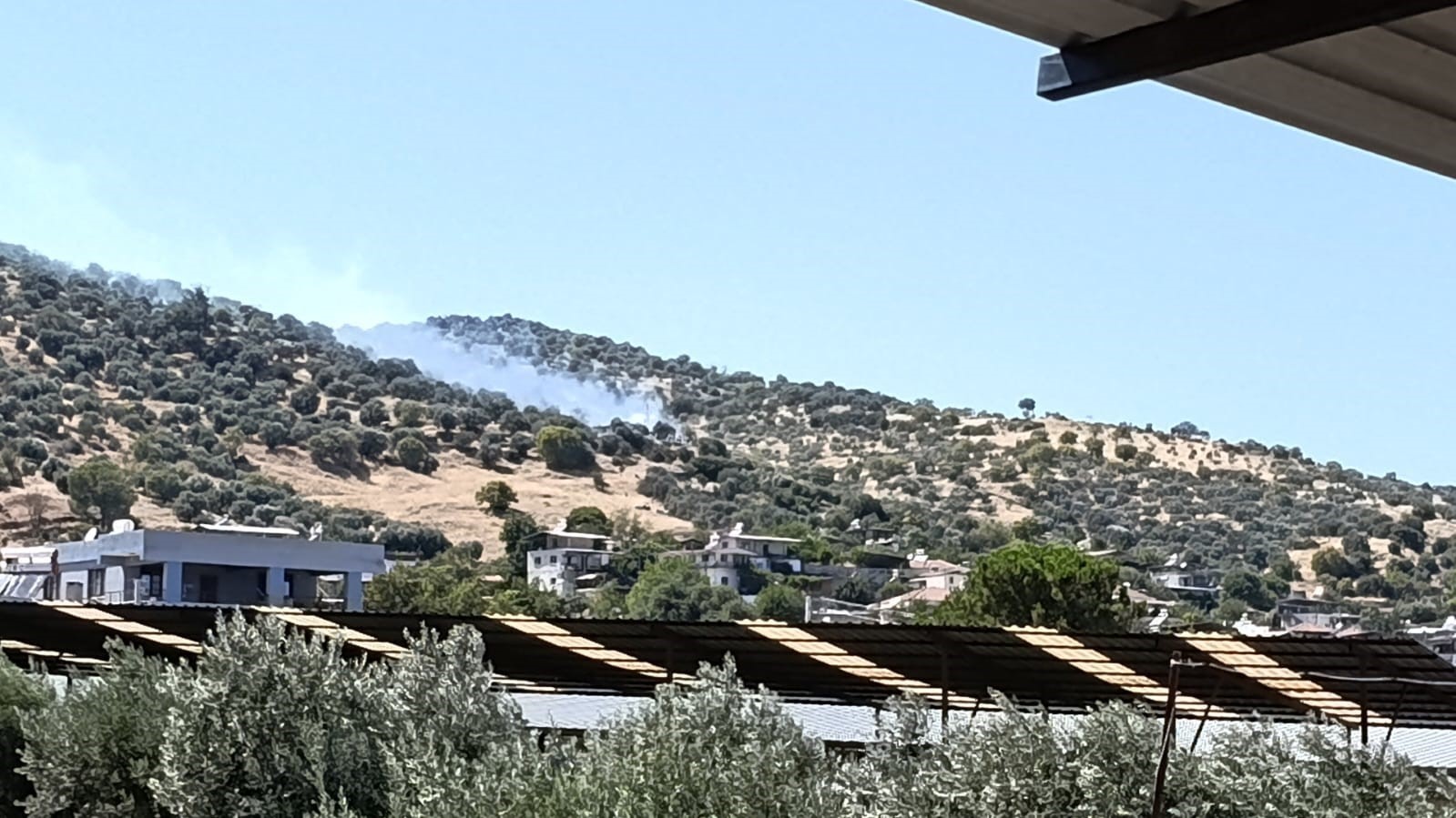 BOZDOĞAN’DAKİ ZİRAİ ALAN YANGINI KONTROL ALTINA ALINDI
