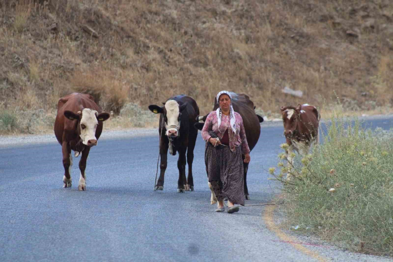ALEVLERDEN KAÇTILAR, HAYVANLARINI VE KENDİ CANLARINI ZOR KURTARDILAR