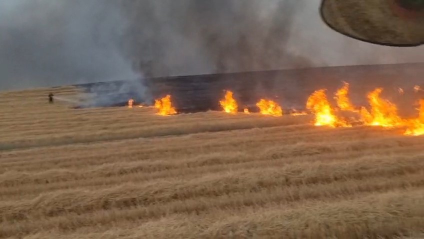 DİYARBAKIR’DA 5 BİN DÖNÜM ARAZİ ALEVLERE TESLİM OLDU