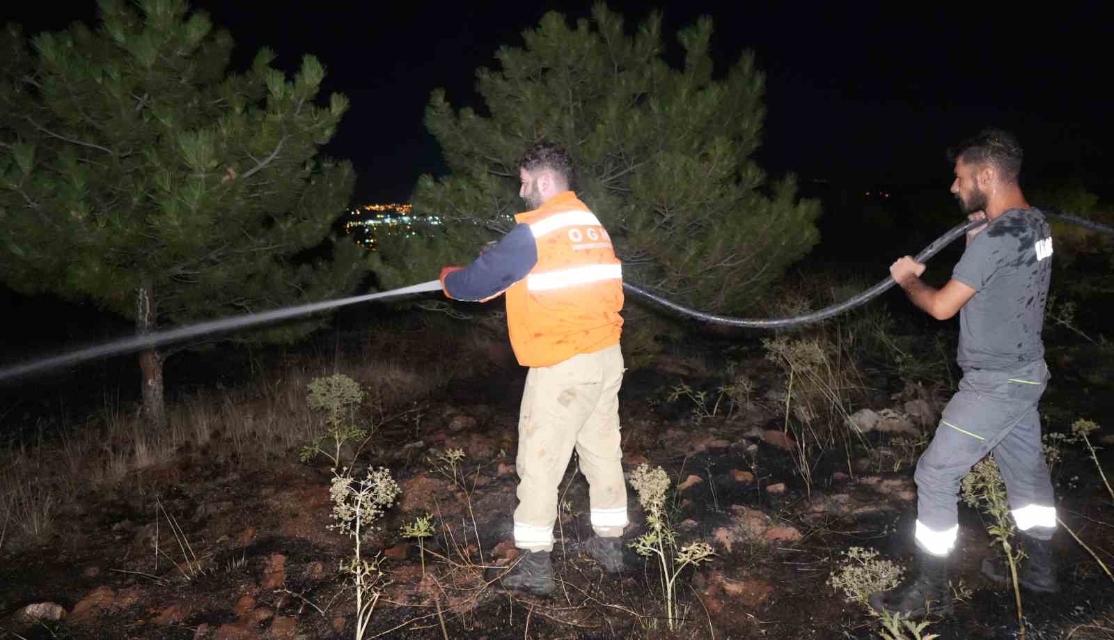 BİR KUŞ ÇAM ORMANLARINI ALEVLERİN EŞİĞİNE GETİRDİ: YANGIN BÜYÜMEDEN SÖNDÜRÜLDÜ