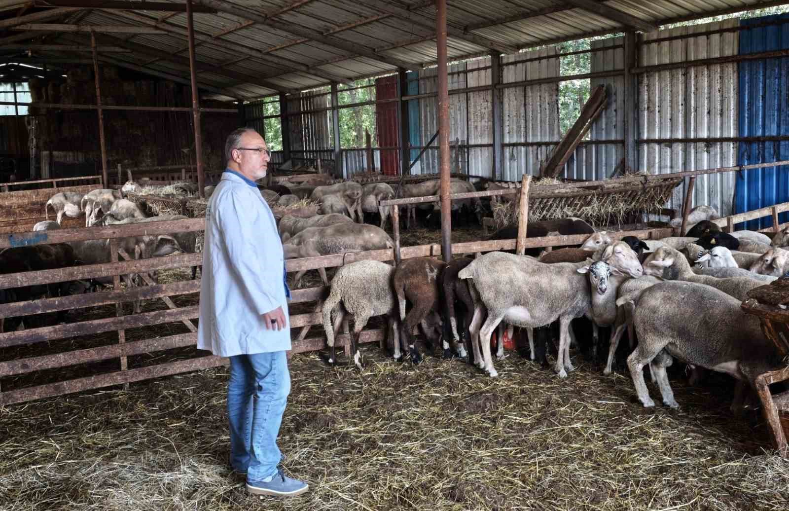 SÜT KALİTESİ VE HAYVAN SAĞLIĞI GÜVENCE ALTINDA
