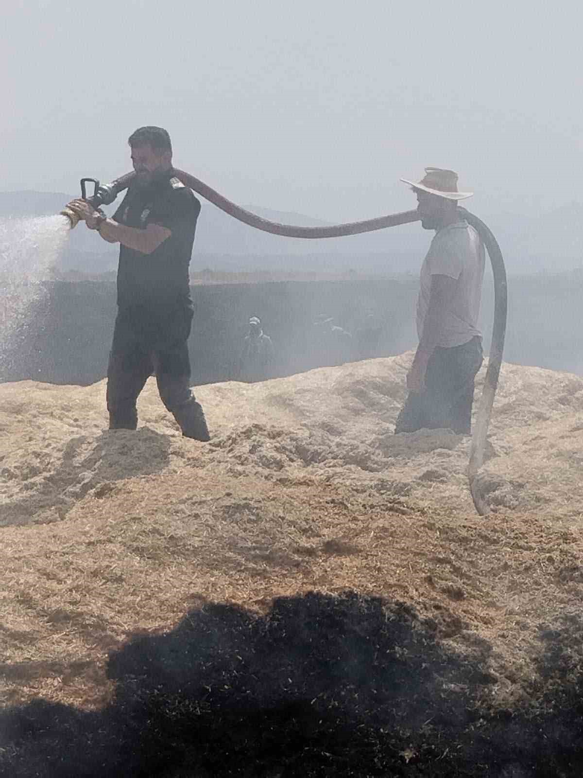 BİNGÖL’DE ARAZİ YANGINI: 2 BİN DÖNÜM ARAZİ ZARAR GÖRDÜ