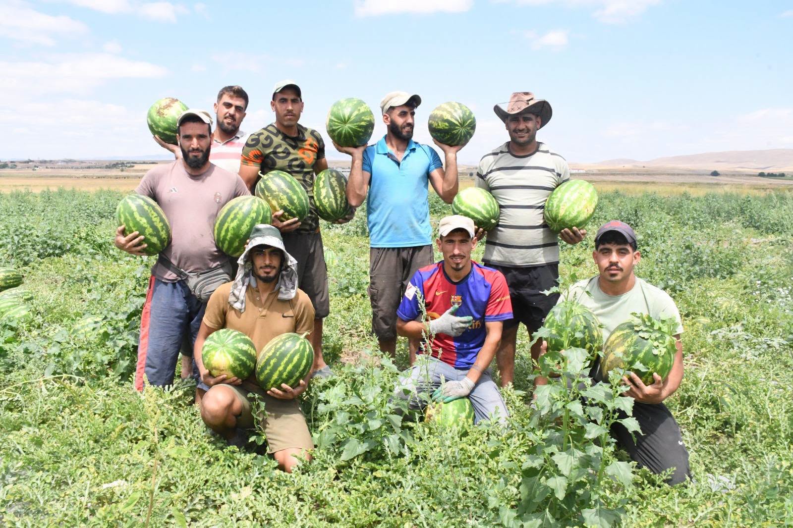 YOZGAT’IN MEŞHUR SEKİLİ KARPUZU’NU TARLADAN TEZGAHA AKTARMA SÜRECİ BAŞLADI