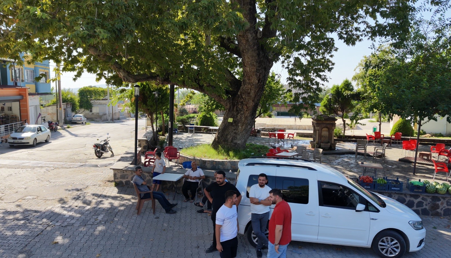 OSMANİYE’DE 260 YILLIK ÇINAR YAZ SICAĞINDA DOĞAL KLİMA OLUYOR