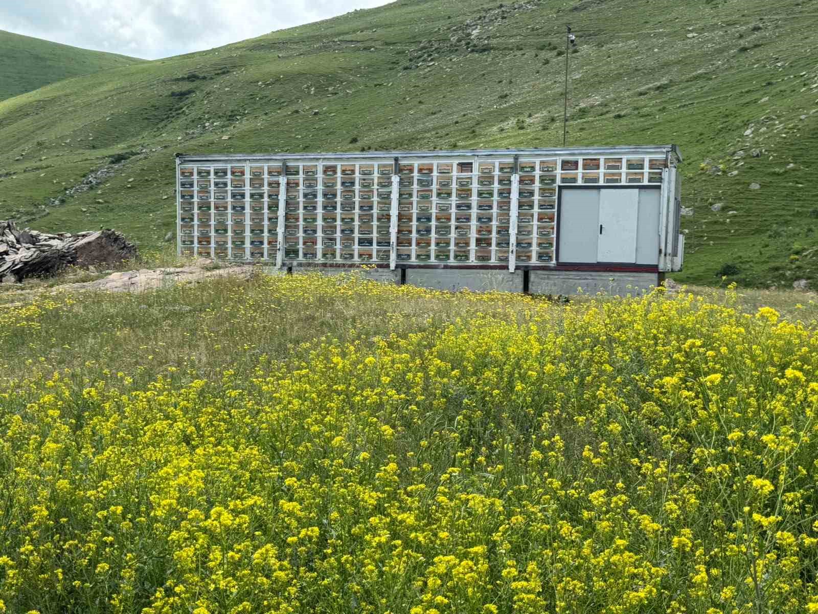 KARS’TA ARICILIKTA DEVRİM: TÜRKİYE’NİN EN BÜYÜK MOBİL ARI ÜRETİM ÜSSÜ HİZMETE GİRDİ