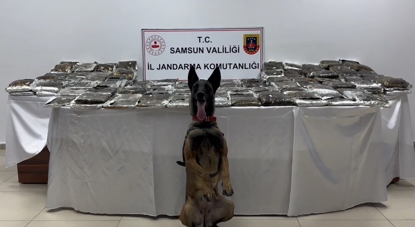 SAMSUN’DA TIRA GİZLENMİŞ 132 KİLO TOZ ESRAR ELE GEÇİRİLDİ