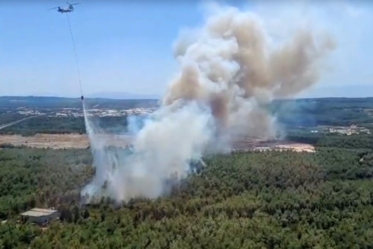 İZMİR BUCA’DA ORMAN YANGINI ÇIKTI