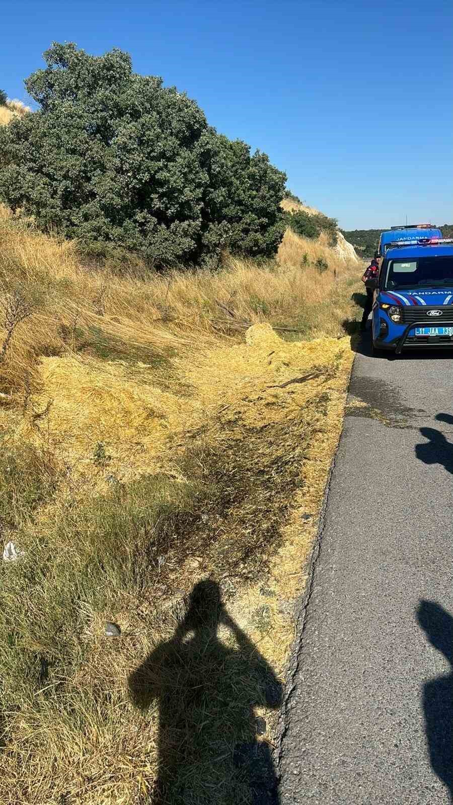 YOL KENARINA ATILAN SİGARA İZMARİTİ YANGINA NEDEN OLDU