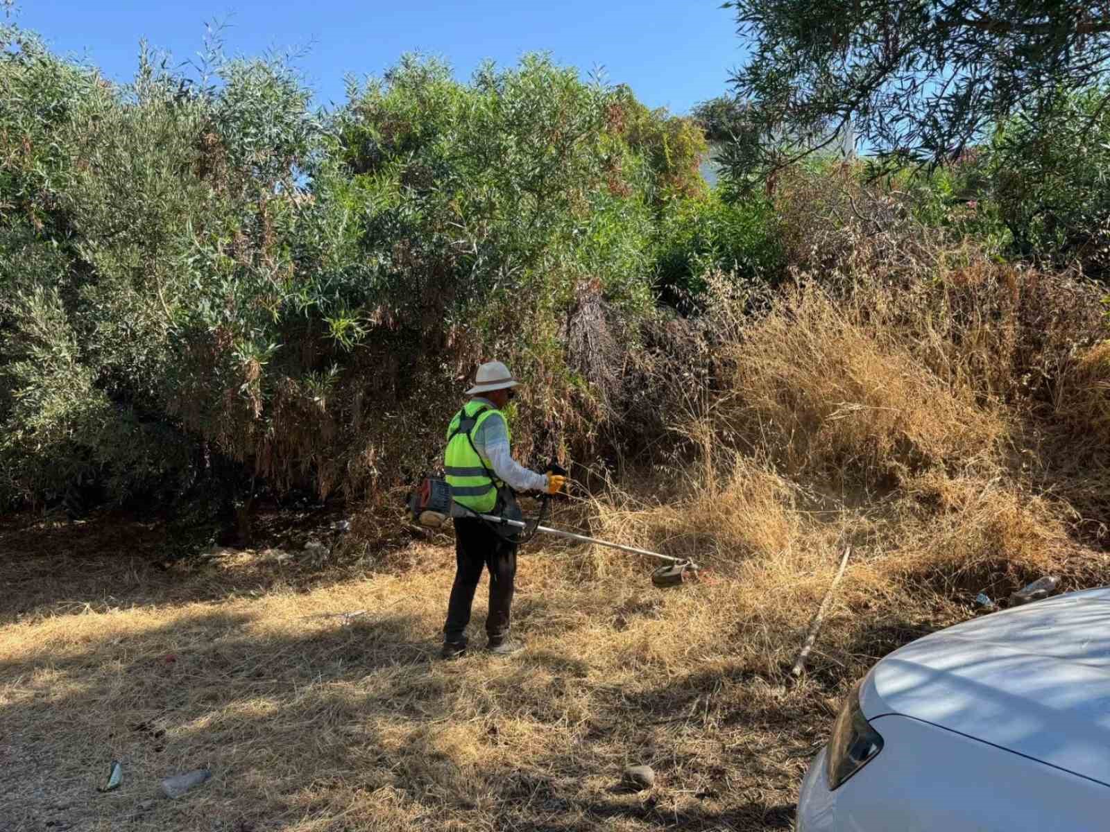 BODRUM’DA OT TEMİZLİĞİ ÇALIŞMALARI SÜRÜYOR