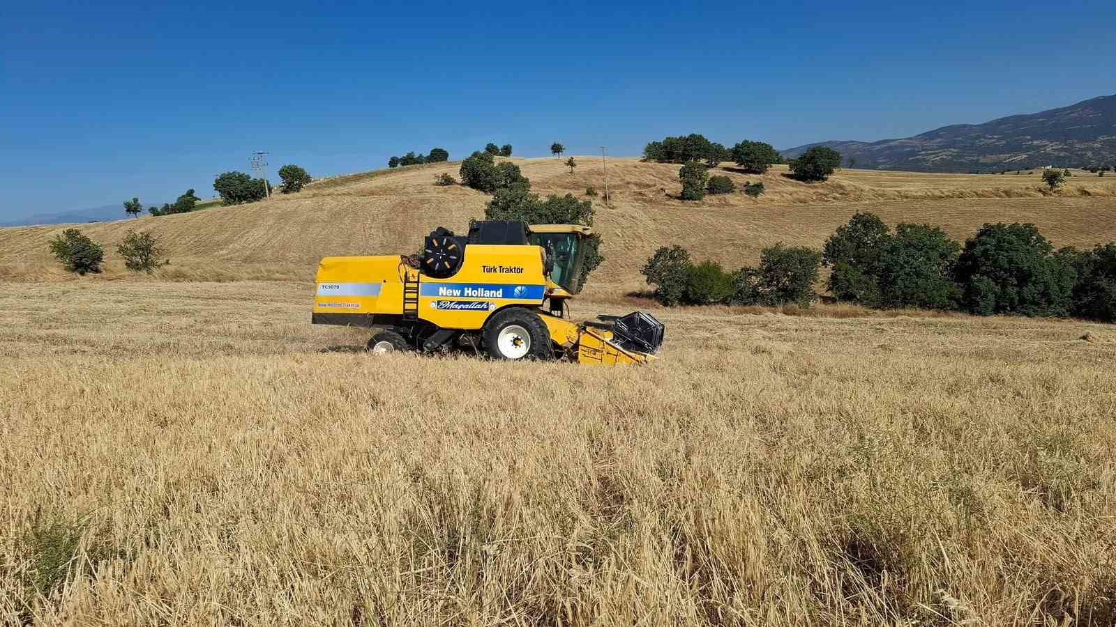 SARIGÖL’DE ARPA VE BUĞDAY HASADI BAŞLADI