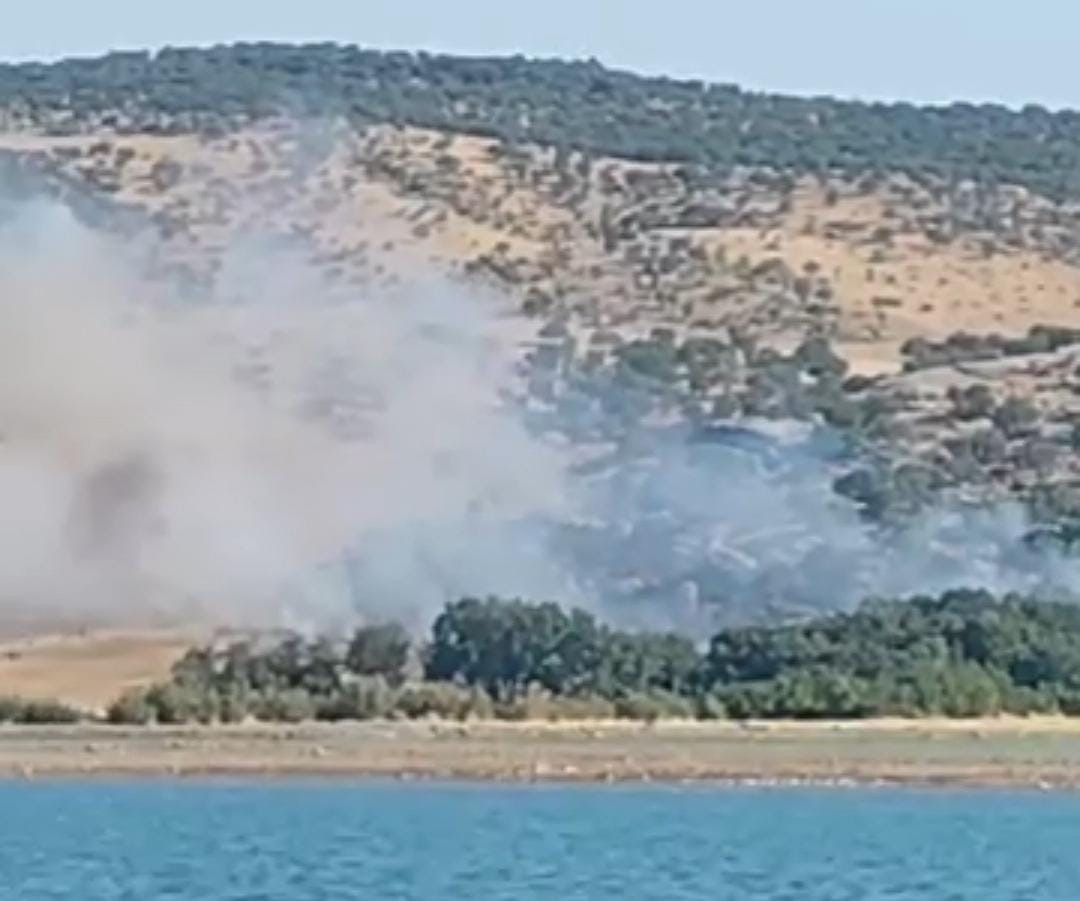 DİYARBAKIR’DA AĞAÇLIK ALANDA YANGIN