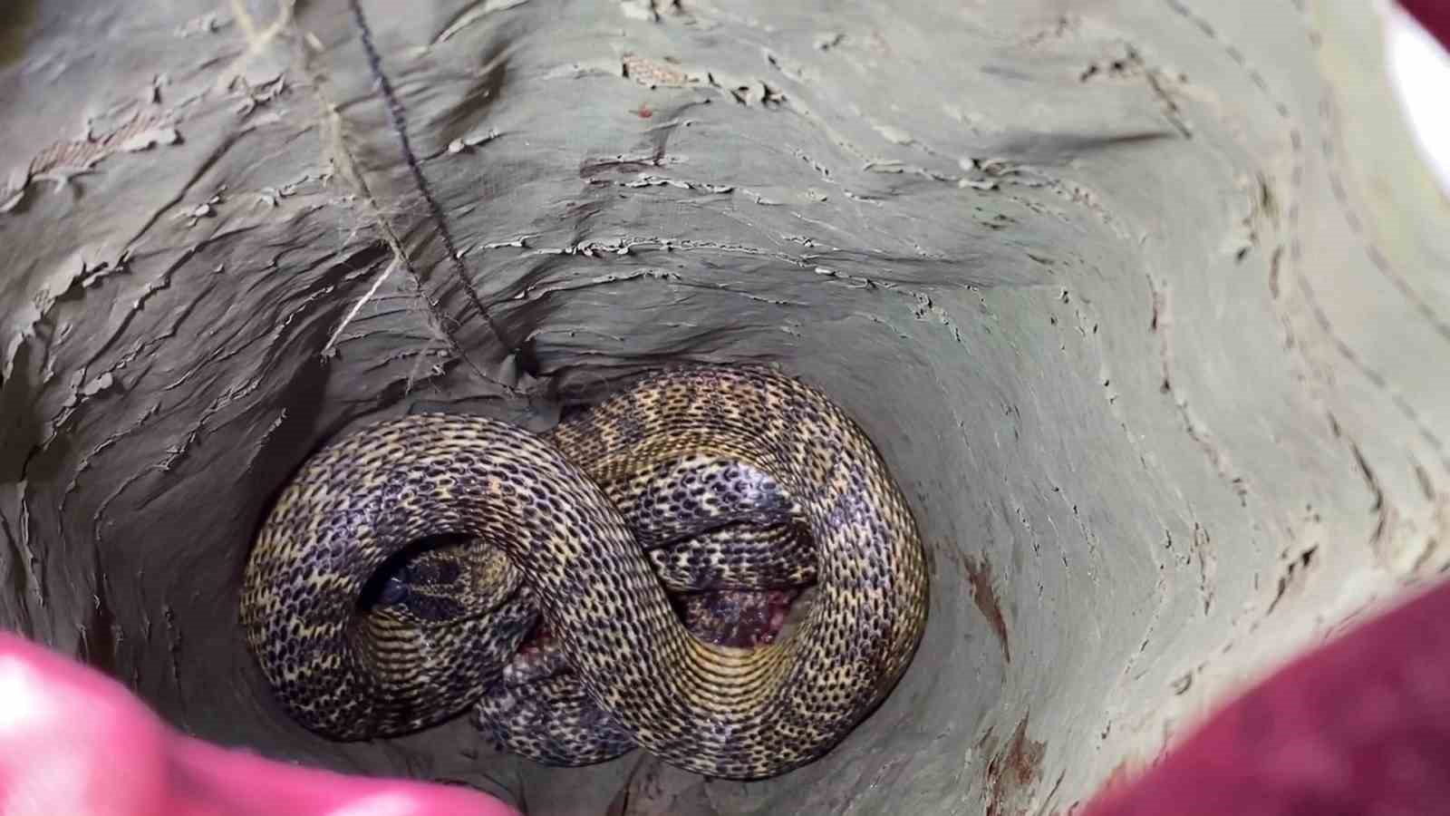 ARACININ MOTORUNDA YILANI GÖREN SÜRÜCÜ SOLUĞU İTFAİYEDE ALDI