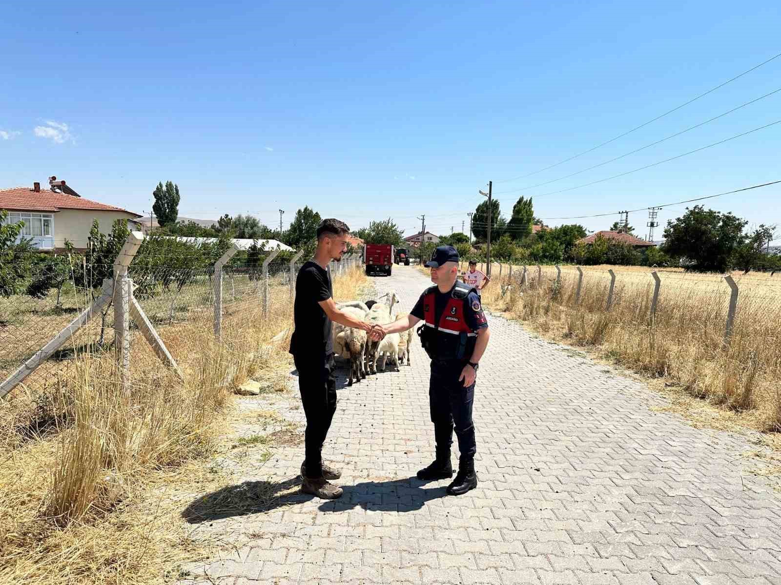 HAYVANLARI KAYBOLAN ÇİFTÇİNİN YARDIMINA JANDARMA EKİPLERİ KOŞTU