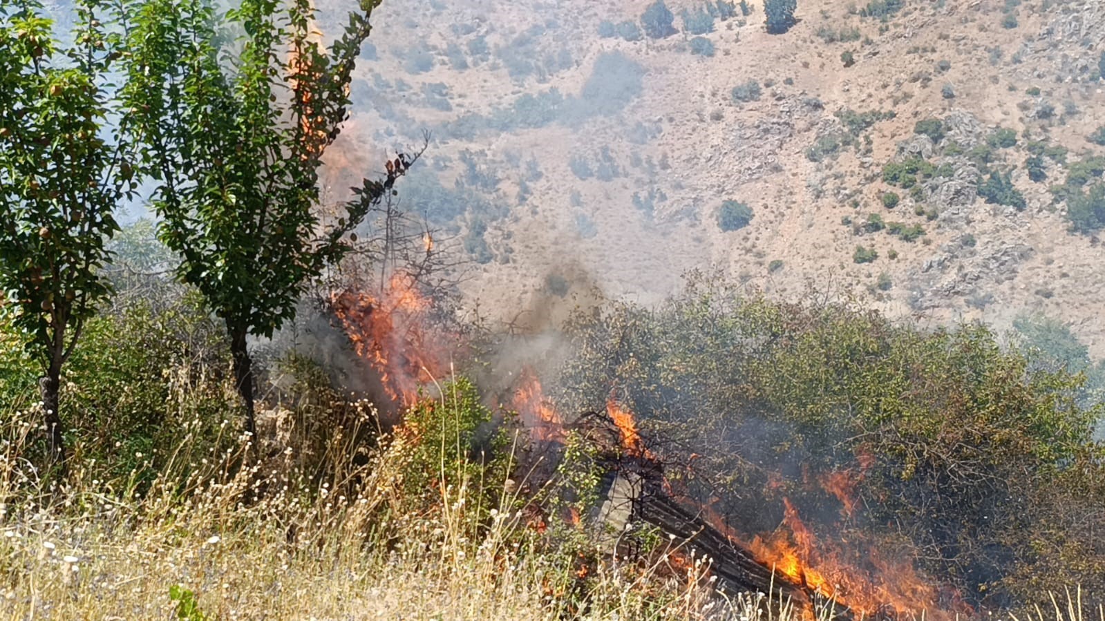 MALATYA’DA MEYVE BAHÇESİ VE ÜZÜM BAĞLARINDA YANGIN