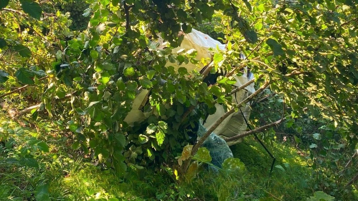 GİRESUN’DA KAMYONET FINDIK BAHÇESİNE DEVRİLDİ: 1 ÖLÜ