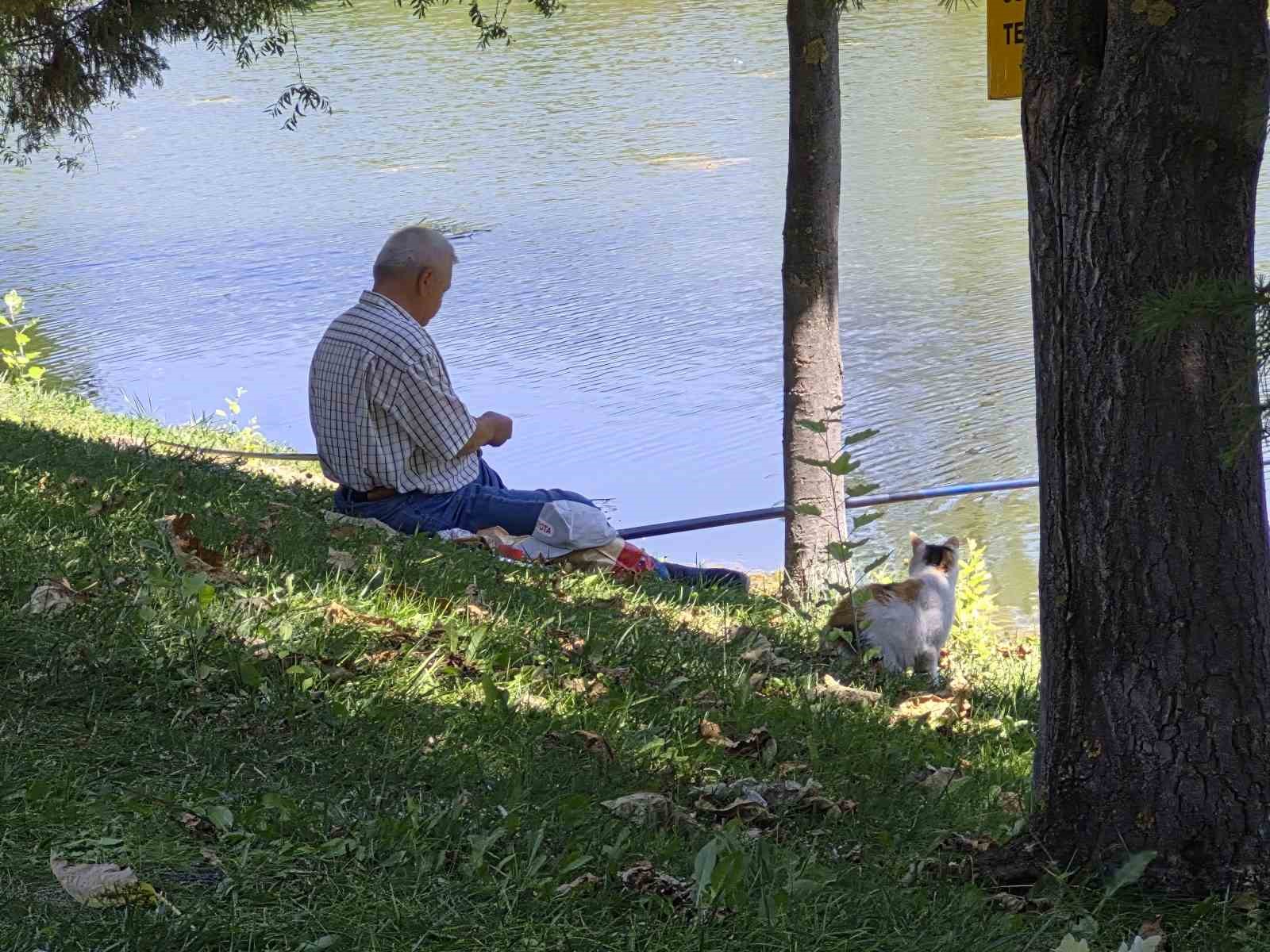 AKILLI SOKAK KEDİSİ BALIK TUTAN ADAMIN BAŞINDAN AYRILMADI