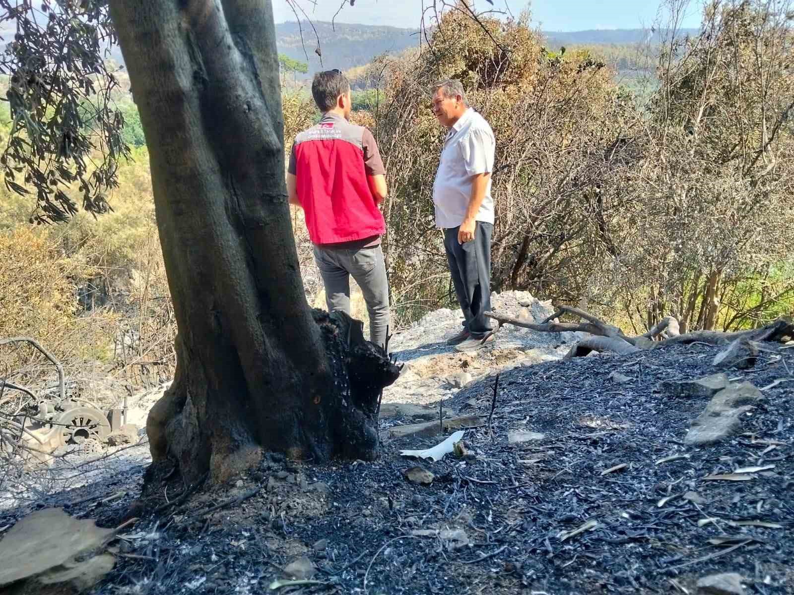 MUĞLA’DA YANGINLARIN ARDINDAN HASAR TESPİT ÇALIŞMALARI SÜRÜYOR