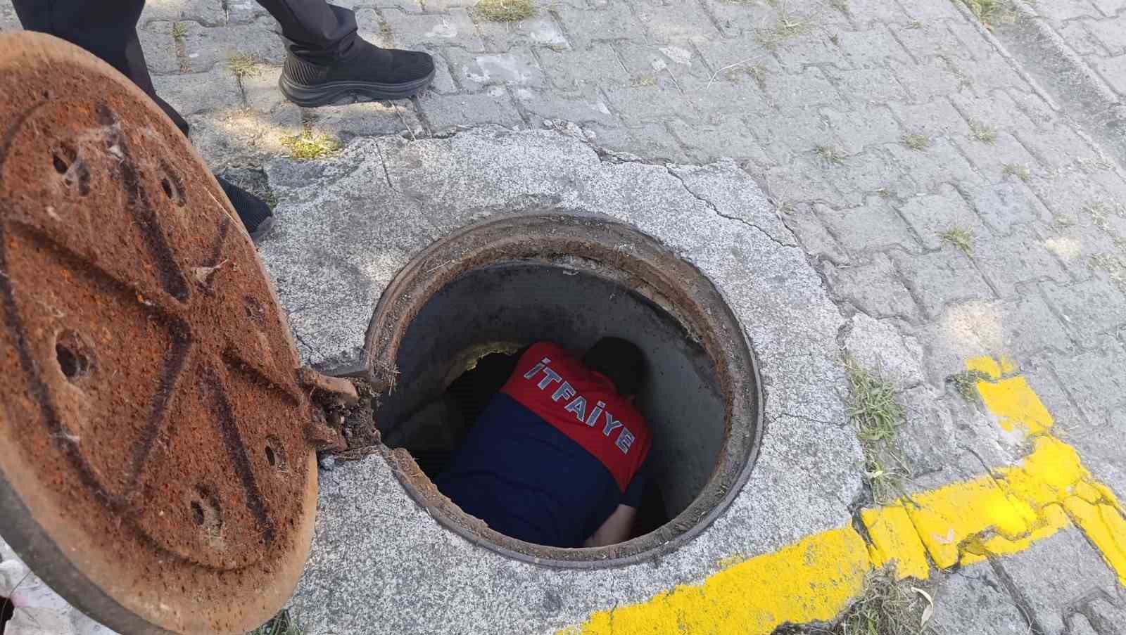 KANALİZASYON BORUSUNA SIKIŞAN YAVRU KEDİ KURTARILDI