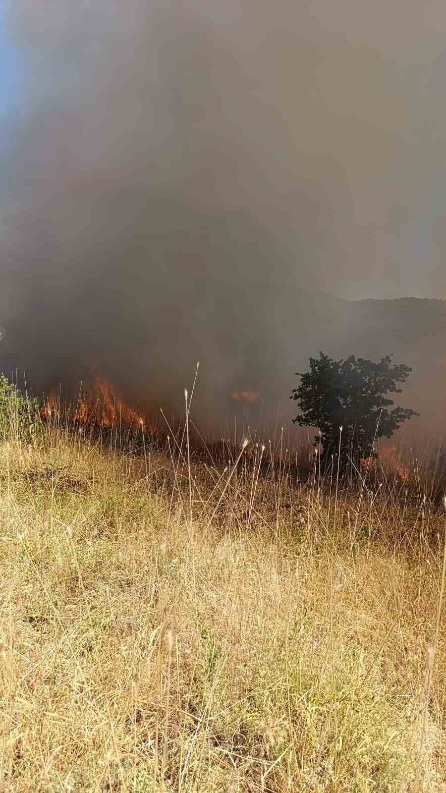 MUŞ’TA ORMANLIK ALANDA ÇIKAN YANGIN KONTROL ALTINA ALINDI