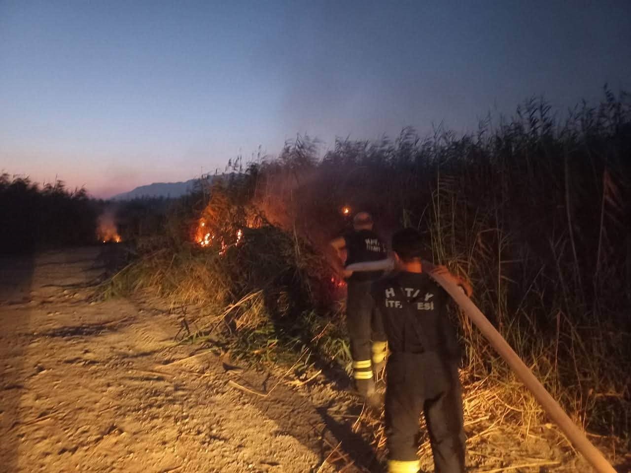 SAMANDAĞ’DA KAMIŞLIK YANGINI