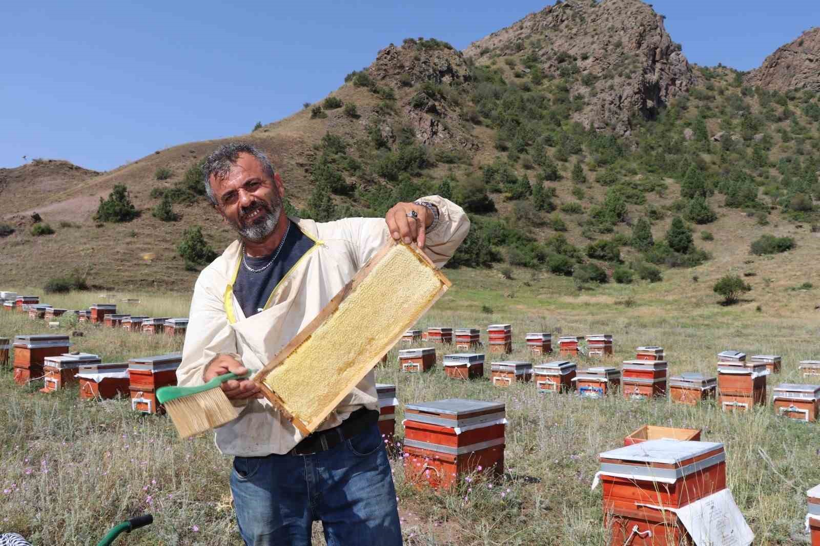 OLTU’DA SEZONUN İLK BAL HASADI YAPILDI