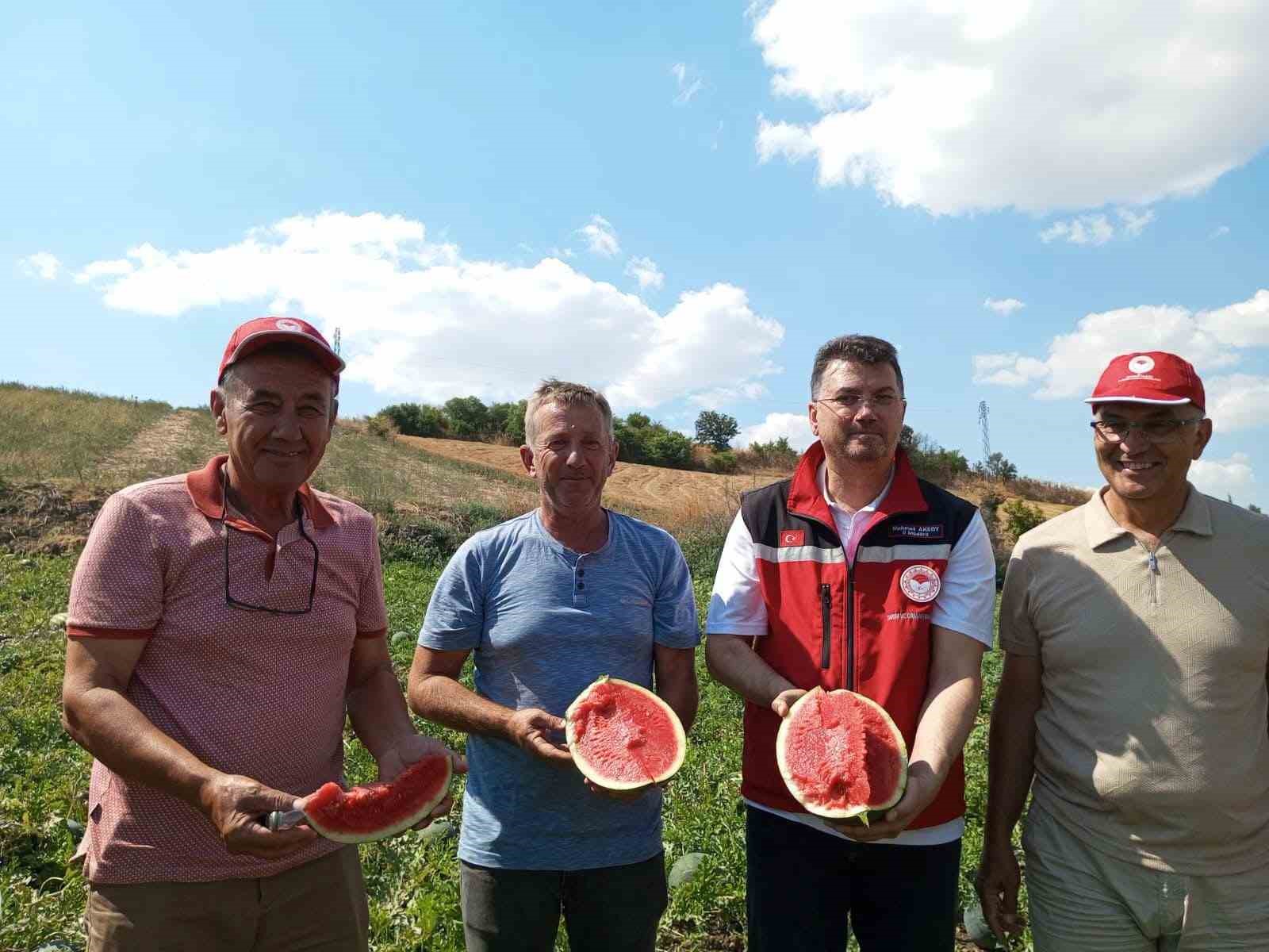 TEKİRDAĞ KARPUZU TEZGÂHLARA ÇIKIYOR