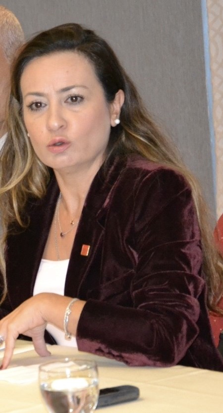YENİ PARTİ MANİSA İL BAŞKANI İLKSEN ÖZALPER GÖZALTINA ALINDI