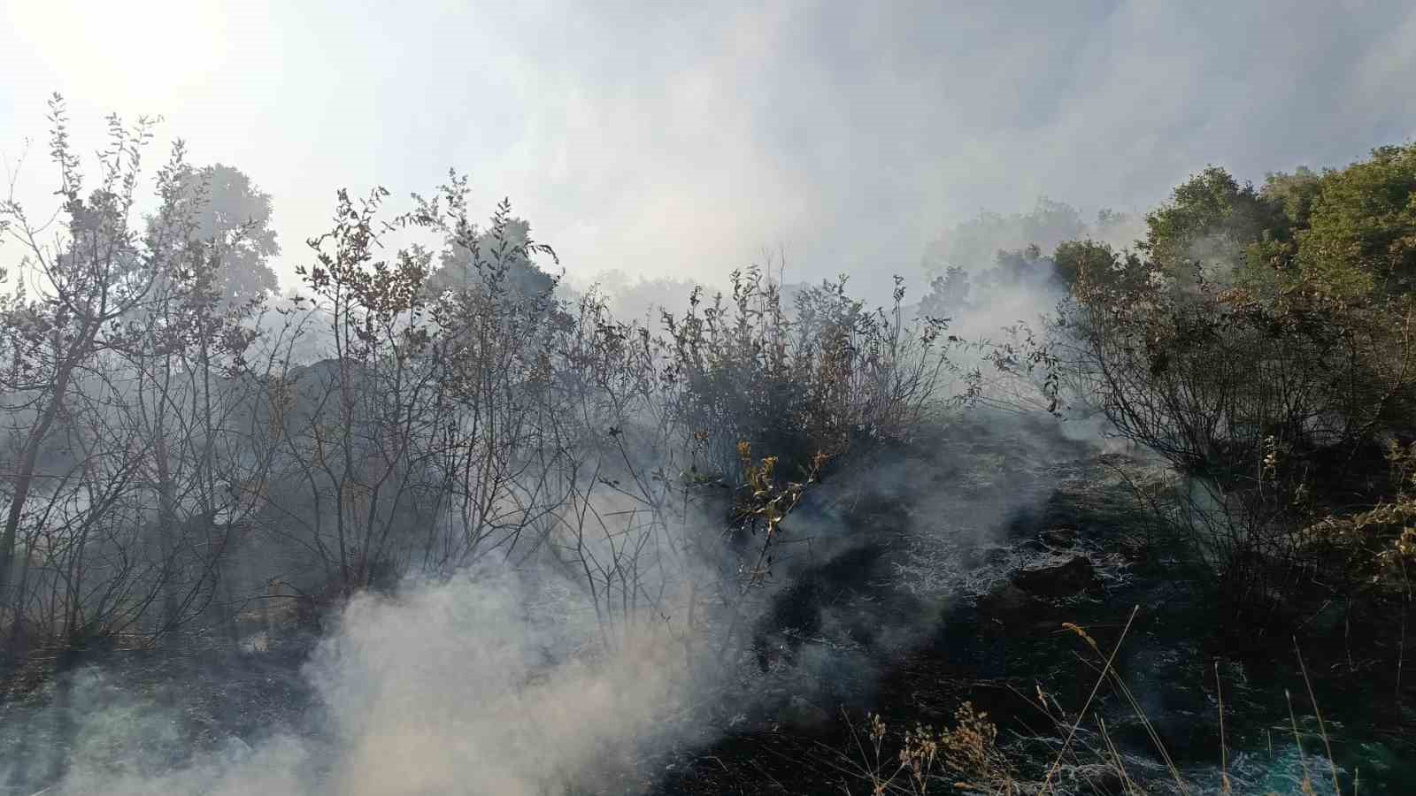 BİNGÖL’DE ORMAN VE MERA YANGINLARI SÖNDÜRÜLDÜ