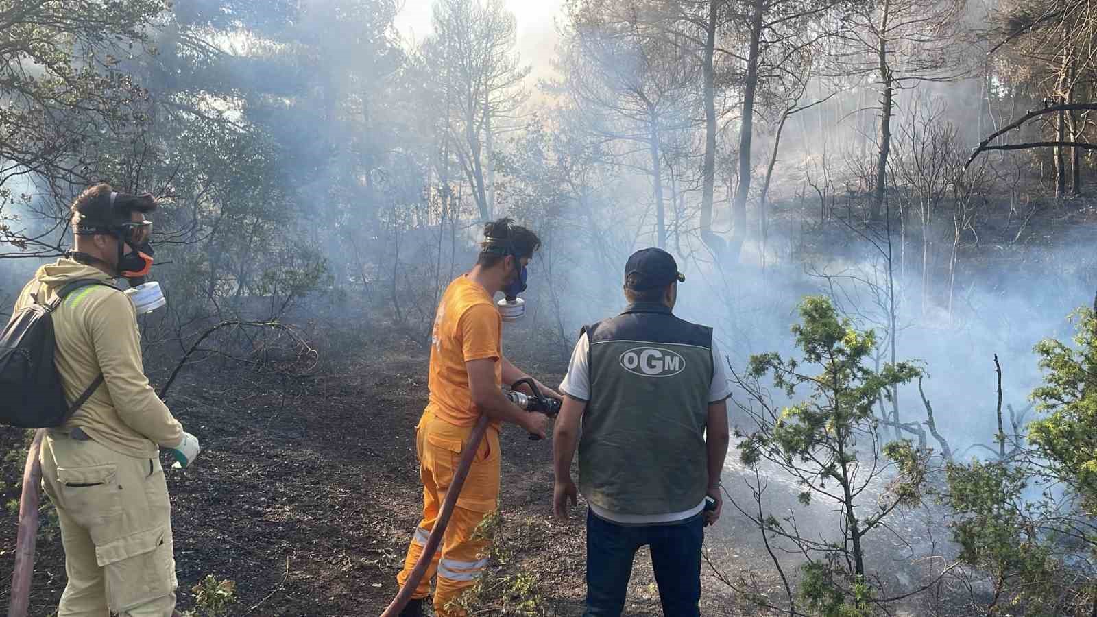 BOLU’DA ORMANLIK ALANDA ÇIKAN YANGIN KONTROL ALTINA ALINDI