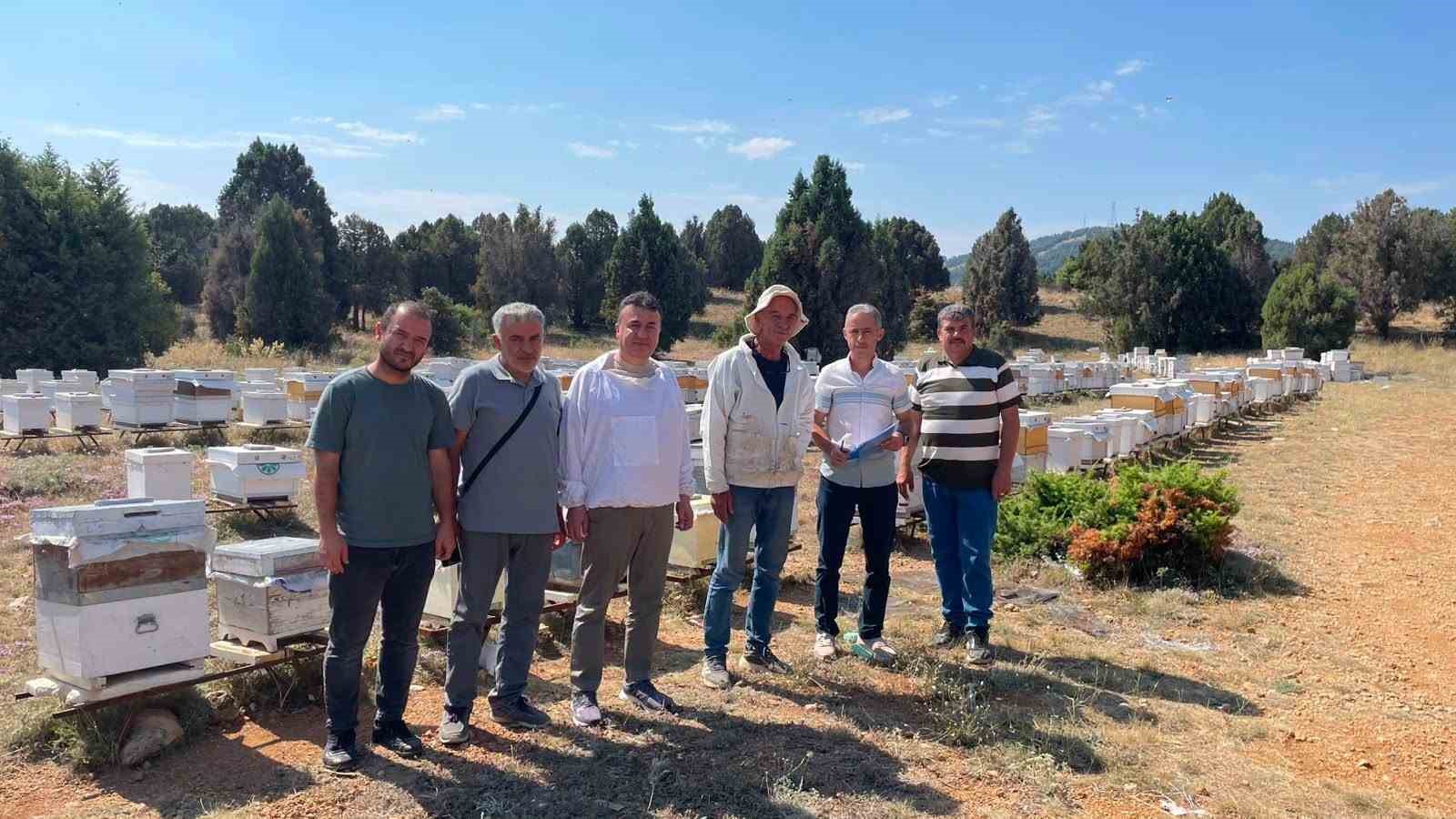BEYŞEHİR’DE ARILI KOVANLAR TEK TEK SAYILIYOR